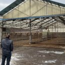 서울대학교 대동물병원 이미지