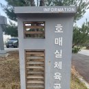 칠보체육관 | 수원 호매실 체육공원 서수원 칠보 체육관 산책 후기