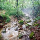 마감산산림욕장 네이버블로그