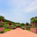 섬바다향기 이미지