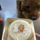 담무 | 카카오톡 선물하기 강아지 생일 수제 당근케이크 ‘담무’ 나도 먹어봄ㅋ내돈내산 리얼후기