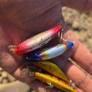 라임캣 | 임진강과 차탄천 꺽지 낚시 시즌 마지막 출조 결과는