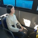 춘천평화의 소녀상 이미지