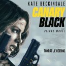 카나리 블랙 Canary Black 2024 이미지