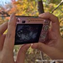 다원본가 | 디지털카메라 SONY DSC-W120 서귀다원 후기