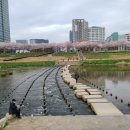 철산동 광성초등학교 앞 이미지