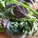 충실농장 이미지