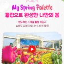 에버트래블 | 에버랜드 일요일 방문 후기 튤립축제 | 입장권 할인 주차장 사파리 주말 대기시간