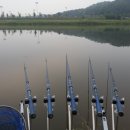 29-교하-29 네이버블로그