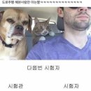 북부소방서 | 부산북부운전면허 3주만에 취득하기 #5. 운전면허 도로주행 코스 &amp; 꿀팁