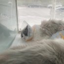 아름동물병원 이미지