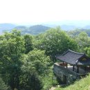 푸른 태양광 발전소 이미지