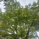 예린농장 이미지