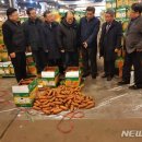 제주청정채