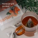 풀잎농장 | 피부미용과 붓기빼기 필수템! 비타민나무잎차 와 두쫀쿠 찰떡궁합 후기