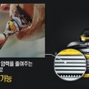 프로바리깡
