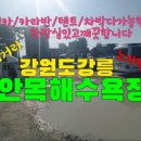 안목커피거리카라반캠핑 이미지