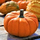 ㈜푸드나무 이미지