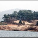 다솜차반 이미지