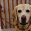 뚜드림 수원점 이미지