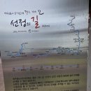 제주불교성지 순례길 절로 가는길 - 지계의 길 | 약천사(제주 서귀포시)/동양최대 규모의 법당 대적광전이 있는 치유와 기도 도량으로 널리 알려진...