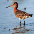 10월 26일 목요일 뉴우수~ㅎㅎ 이미지