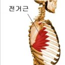 Four Day Gym 이미지