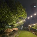 (유성-136) | 대전 데이지136 관평동 정원 카페