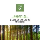 뿌리세탁소 이미지