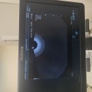 gyn setting 이미지