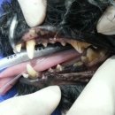 해비치동물병원 이미지