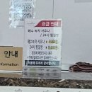 공룡나라 해수 찜질방 | 스파리조트 안단테 장흥 24시 스파 사우나 찜질방 득량만 보이는 오션뷰 해수탕 투숙객할인 내돈내산