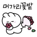 뷰티슬림 이미지