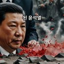 존경하는 시진핑 주석에게 띄우는 정동희 편지 시진핑 중국 국가주석이 오는 10월 30일부터 11월 1일까지 한국을 11년만에 방문하게 이미지