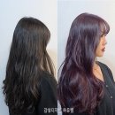 살롱드 하유