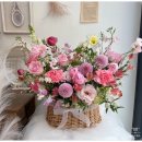 레플레르 이미지