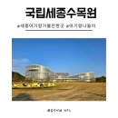 [대나무] 소풍바구니 만들기 | 국립세종수목원 세종 아기랑 가볼만한 곳 야외산책 소풍 실내