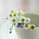 초록인