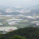 부동농장 이미지