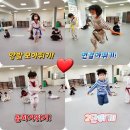 트리니티 태권도 이미지