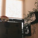 비앤비 아다지오 이미지