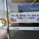 빵굽는 아빠 이미지