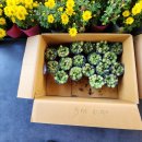 스마트종묘사 이미지