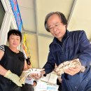 진도상설시장 이미지