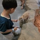 쥬뗌므 | 시흥 쥬뗌므 키즈랜드 후기 : 시흥키즈카페 동물체험 가능한 실내동물원 아이랑 갈만한곳 시흥 이색카페...
