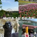 용인 에버랜드 주말 후기 | 동선 코스 추천 튤립축제 사파리 먹거리 주차 꿀팁