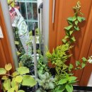 가주목장 이미지