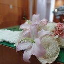 시티병원장례식장