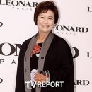 박원숙 카카오 검색결과