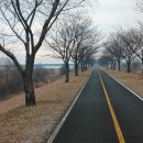 흐린 겨울날 아침 강가 이미지